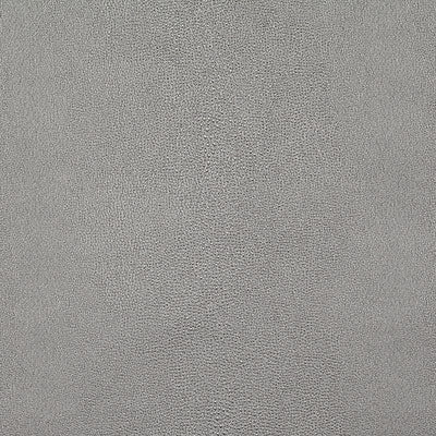 Pindler Fabric VIG005-GY13 Vigor Titanium
